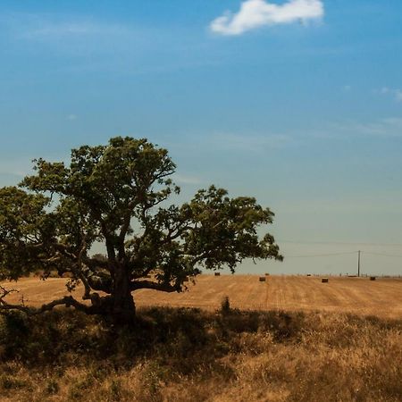 Vales Do Alentejo Guest House Bicos Екстериор снимка